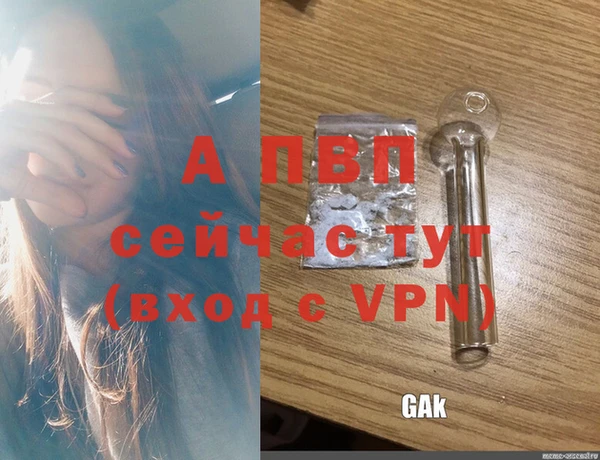 кокаин Богданович